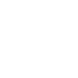 Autonomy Engineering Company